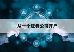 从一个证券公司开户(在一家证券公司开户能在别的用吗)