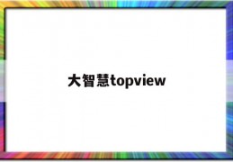 大智慧topview(大智慧topview数据查询)