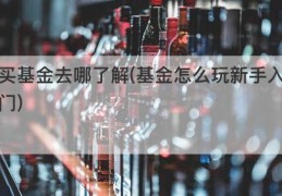 买基金去哪了解(基金怎么玩新手入门)