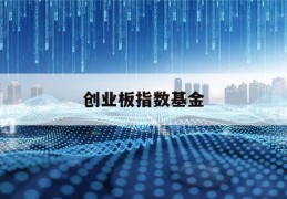 创业板指数基金(创业板指数基金哪个好)