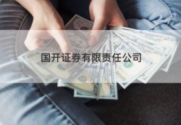 国开证券有限责任公司