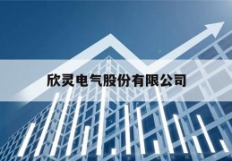 欣灵电气股份有限公司(欣灵电气股份有限公司新厂区)