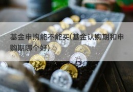 基金申购能不能买(基金认购期和申购期哪个好)